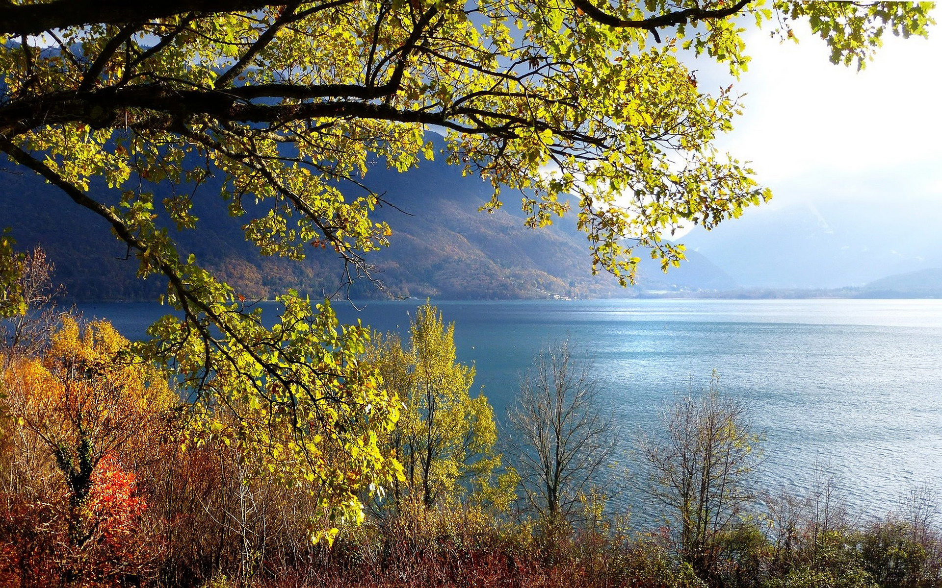 A wide sea with mountains and trees surrounding it.