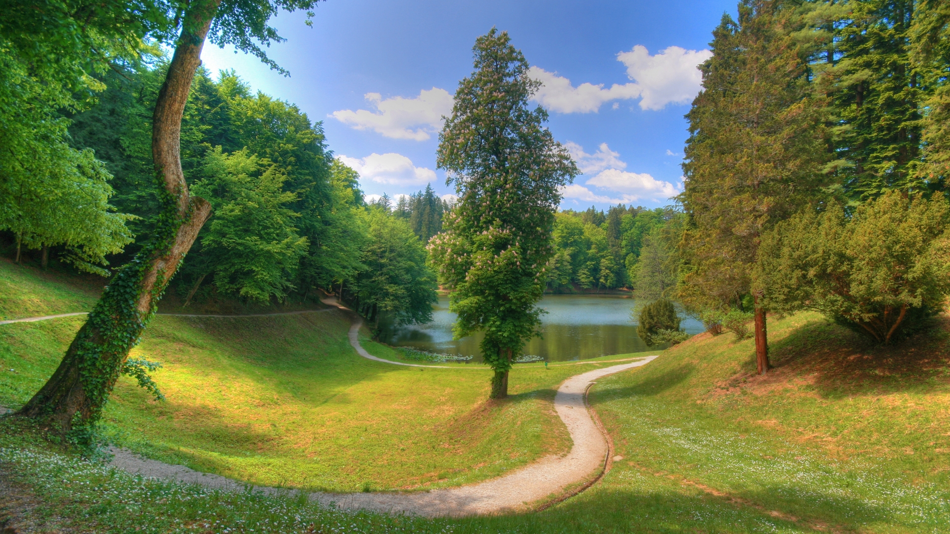 A greeny forest with a lake in the background.